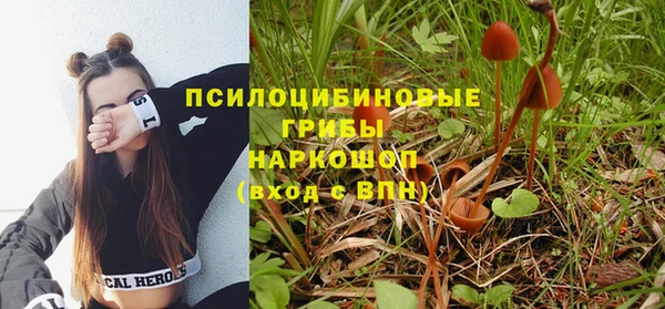 дмт Алексин