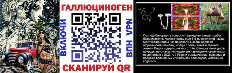 Галлюциногенные грибы Psilocybe  Ардон 